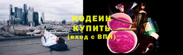 прущие грибы Кодинск