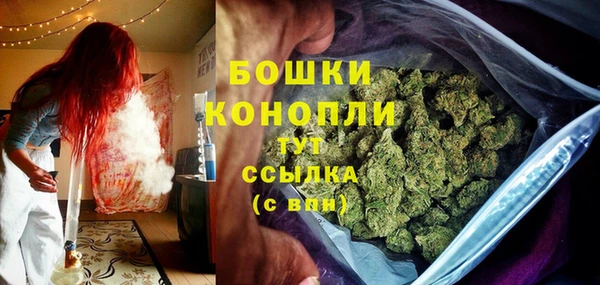 прущие грибы Кодинск