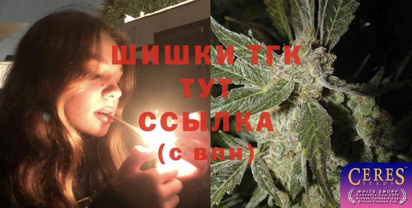 прущие грибы Кодинск