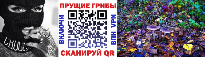 Галлюциногенные грибы Cubensis  как найти закладки  Райчихинск 