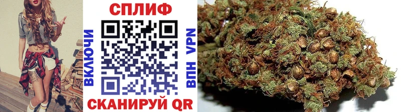 Бошки марихуана Amnesia  гидра сайт  Райчихинск 